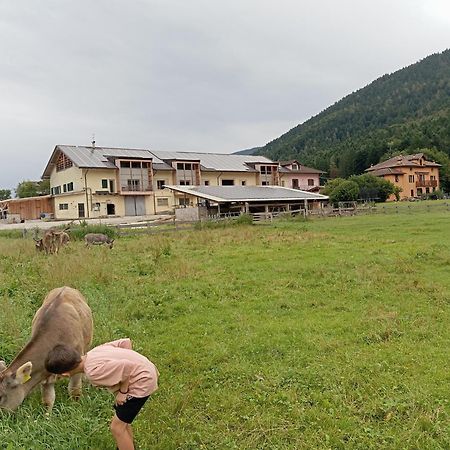 Maso Torbiera- Rural And Mountain Lodging Fiave Ngoại thất bức ảnh