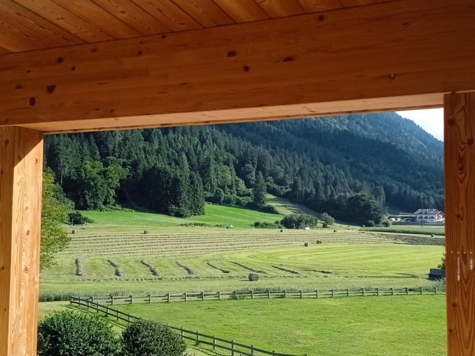 Maso Torbiera- Rural And Mountain Lodging Fiave Ngoại thất bức ảnh