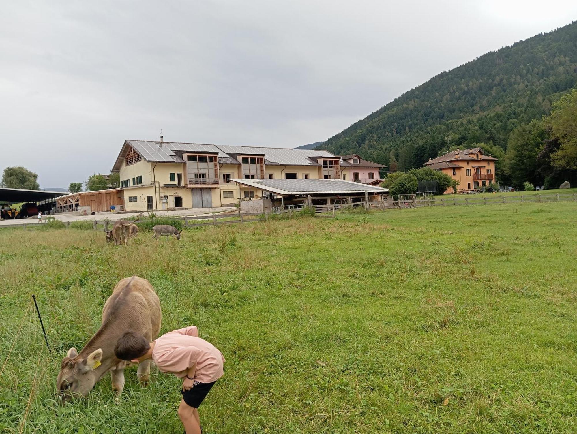 Maso Torbiera- Rural And Mountain Lodging Fiave Ngoại thất bức ảnh