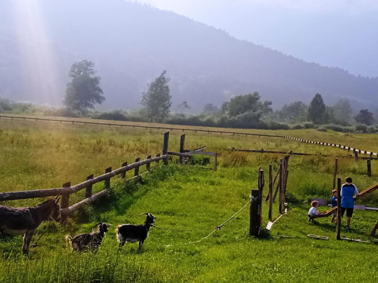 Maso Torbiera- Rural And Mountain Lodging Fiave Ngoại thất bức ảnh