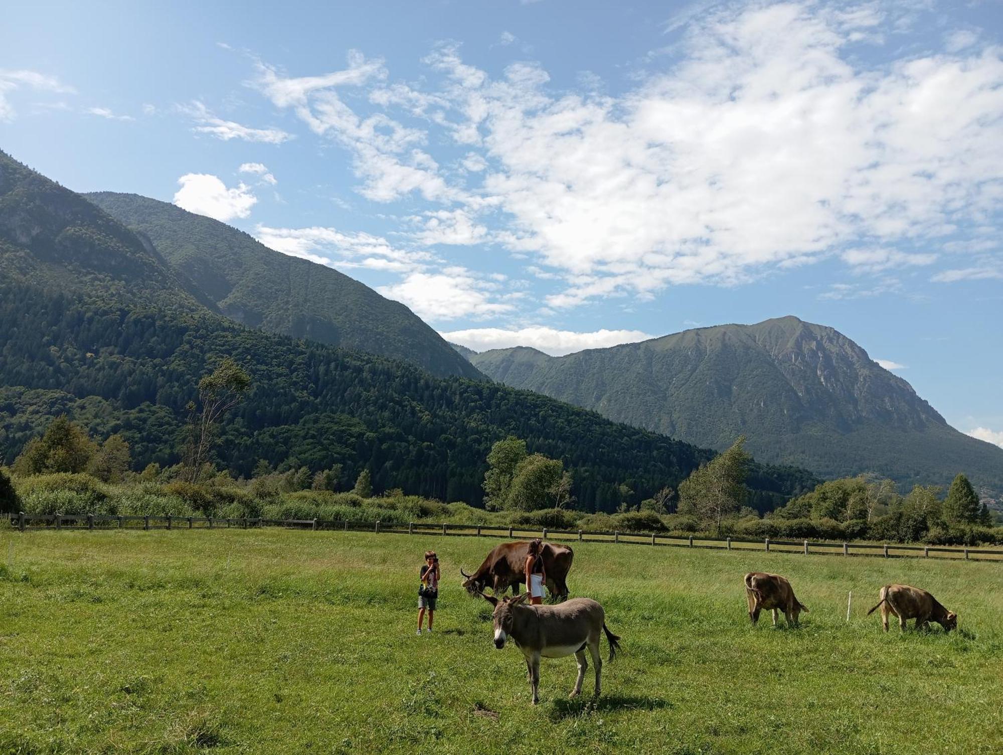 Maso Torbiera- Rural And Mountain Lodging Fiave Ngoại thất bức ảnh